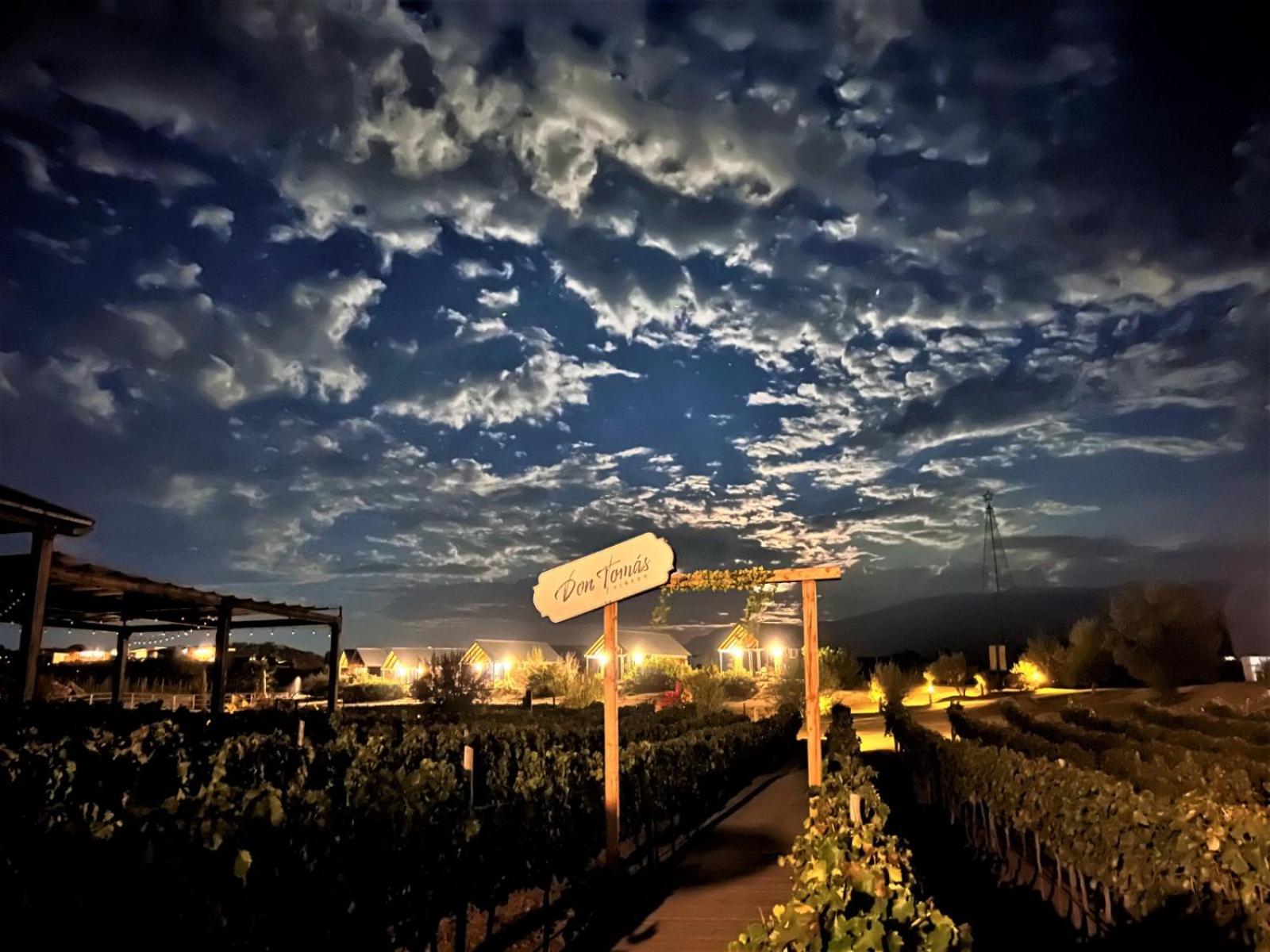 Don Tomas Vinedo Cabanas Valle de Guadalupe Exterior foto